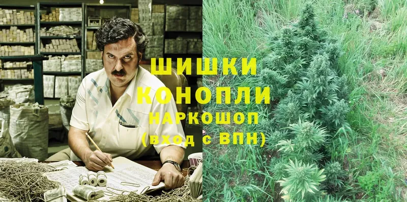 Каннабис SATIVA & INDICA  Ипатово 